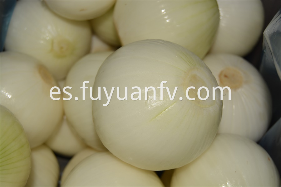 Yellow Peeled Onion